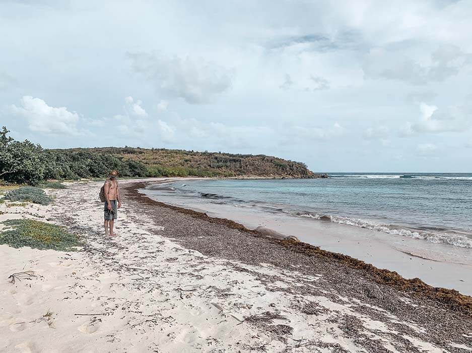 Charlie on Horseshoe Bay Beach - St. Croix, Virgin Islands