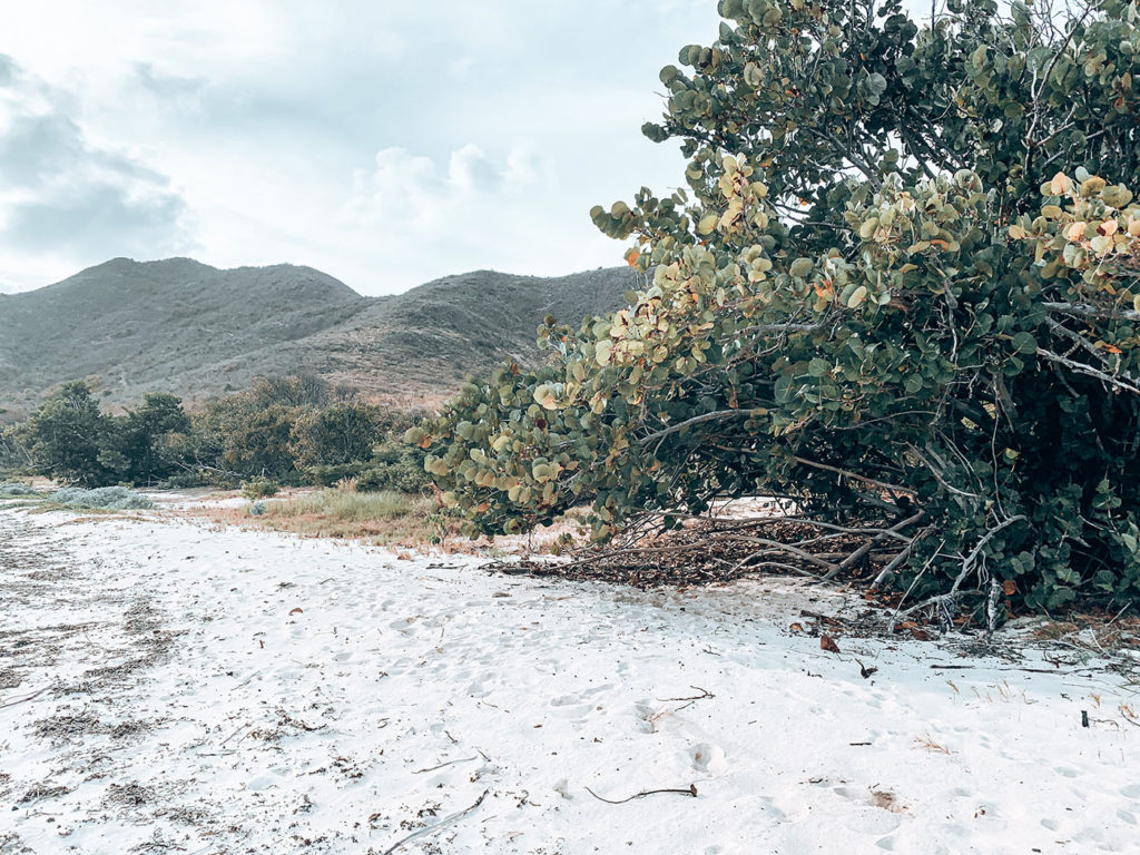 Horseshoe Bay Beach - St. Croix, Virgin Islands